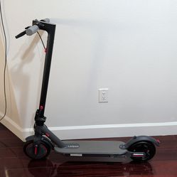 Ladped Electric Scooter