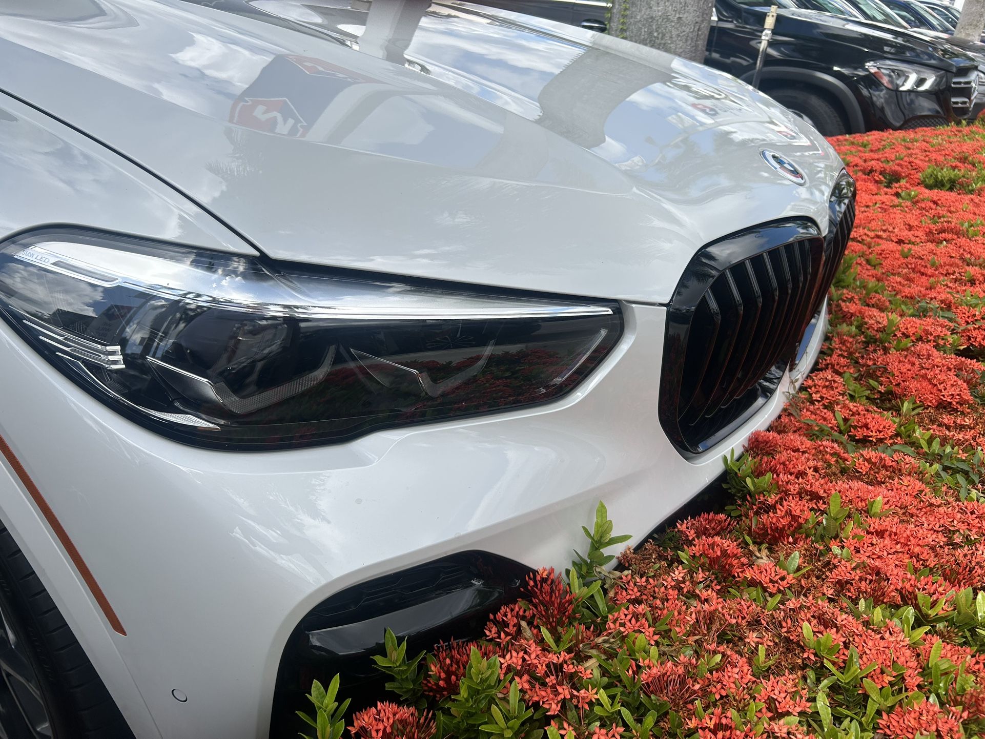 2023 BMW X5