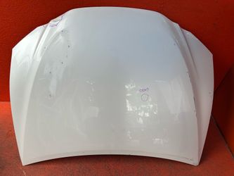 2019 2020 2021 2022 2023 LEXUS ES ES250 ES350 ES300H HOOD OEM