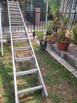 Ladder