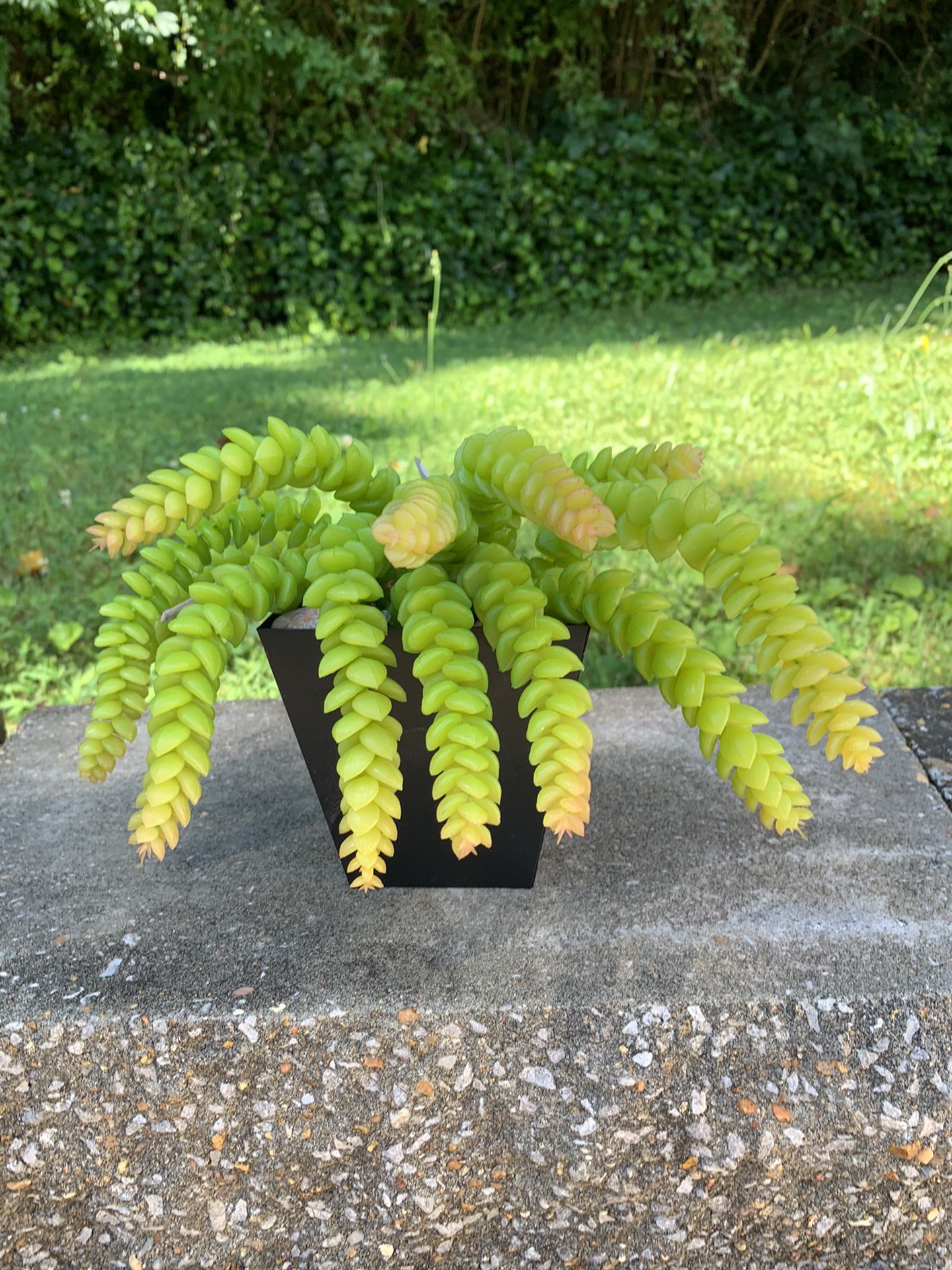 Artificial Sedum Succulent Pick (3 piece)