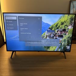 LG 43” Smart TV