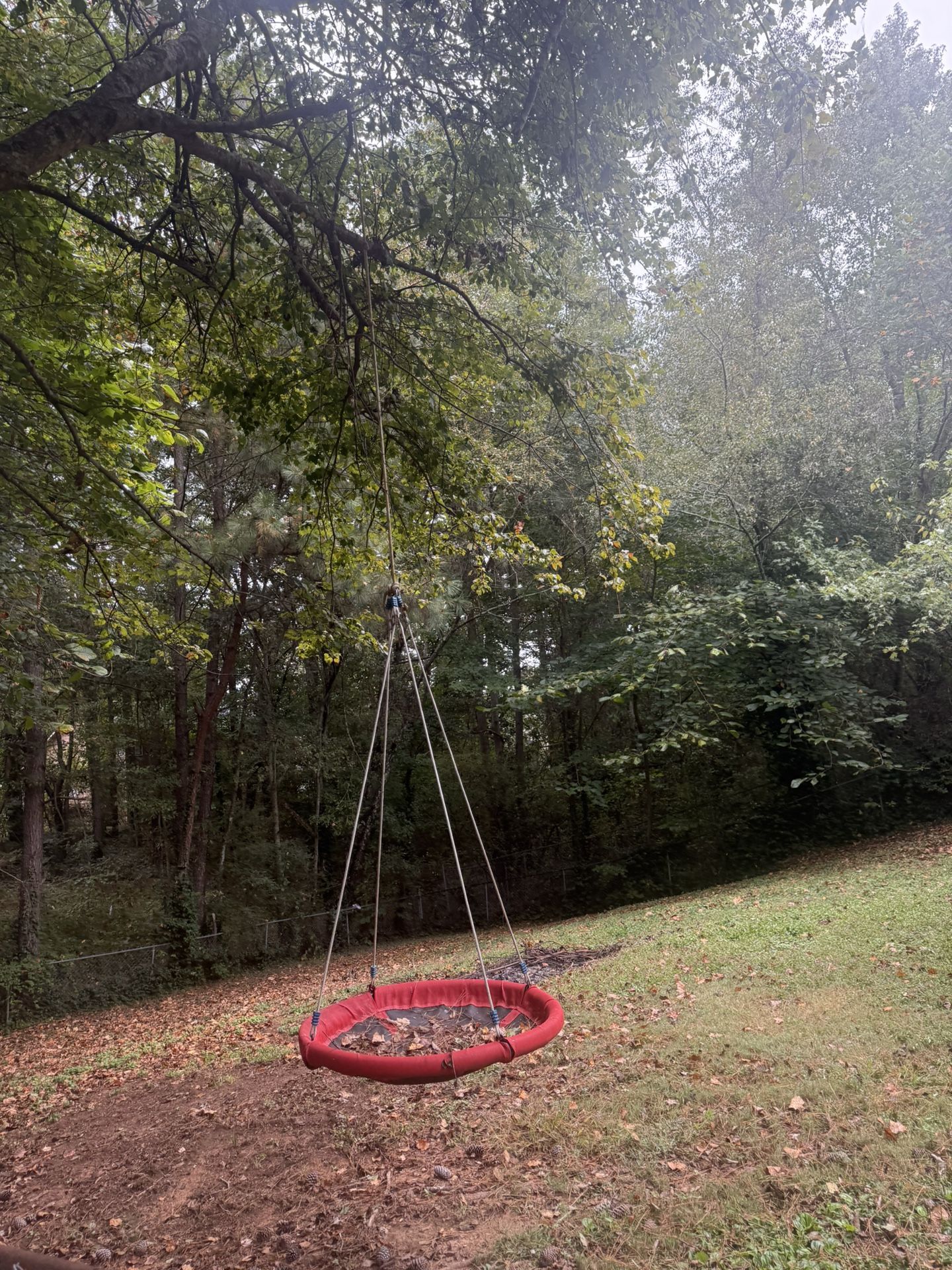 Tree Swing Seat