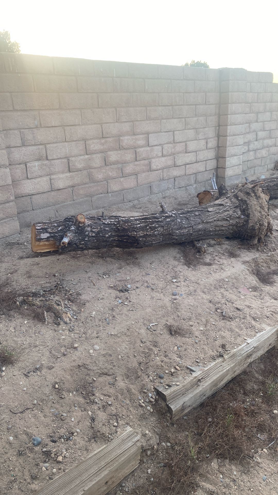 Free Wood Gratis