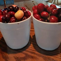 Fresh 🍒 $6.00 Or 2 For $10.00
