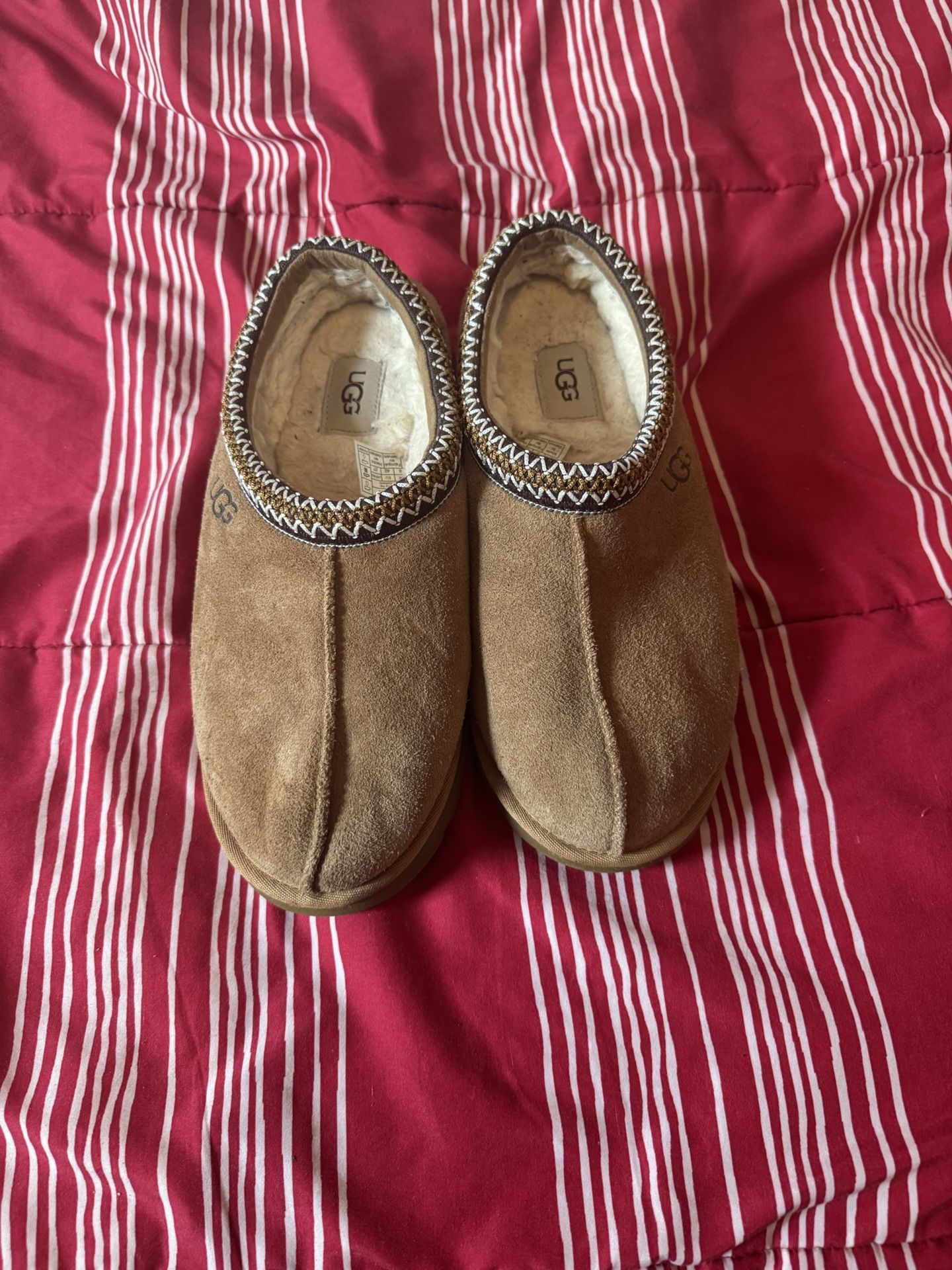 Brown Ugg Tasmans