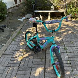 Blue/green Bike 
