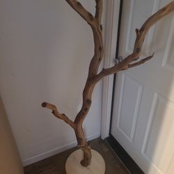 Reptile Or Bird Tree Stand Branch