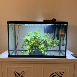 10 Gallon Fish Tank With Filter And Hooded Light