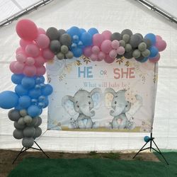 Gender Reveal Balloon Garland 