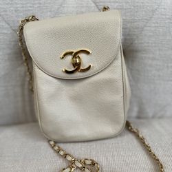 Chanel Penguin Bag 