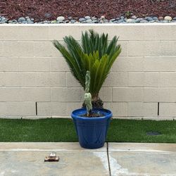 Cobalt Blue Pottery Ceramic And Plastic 