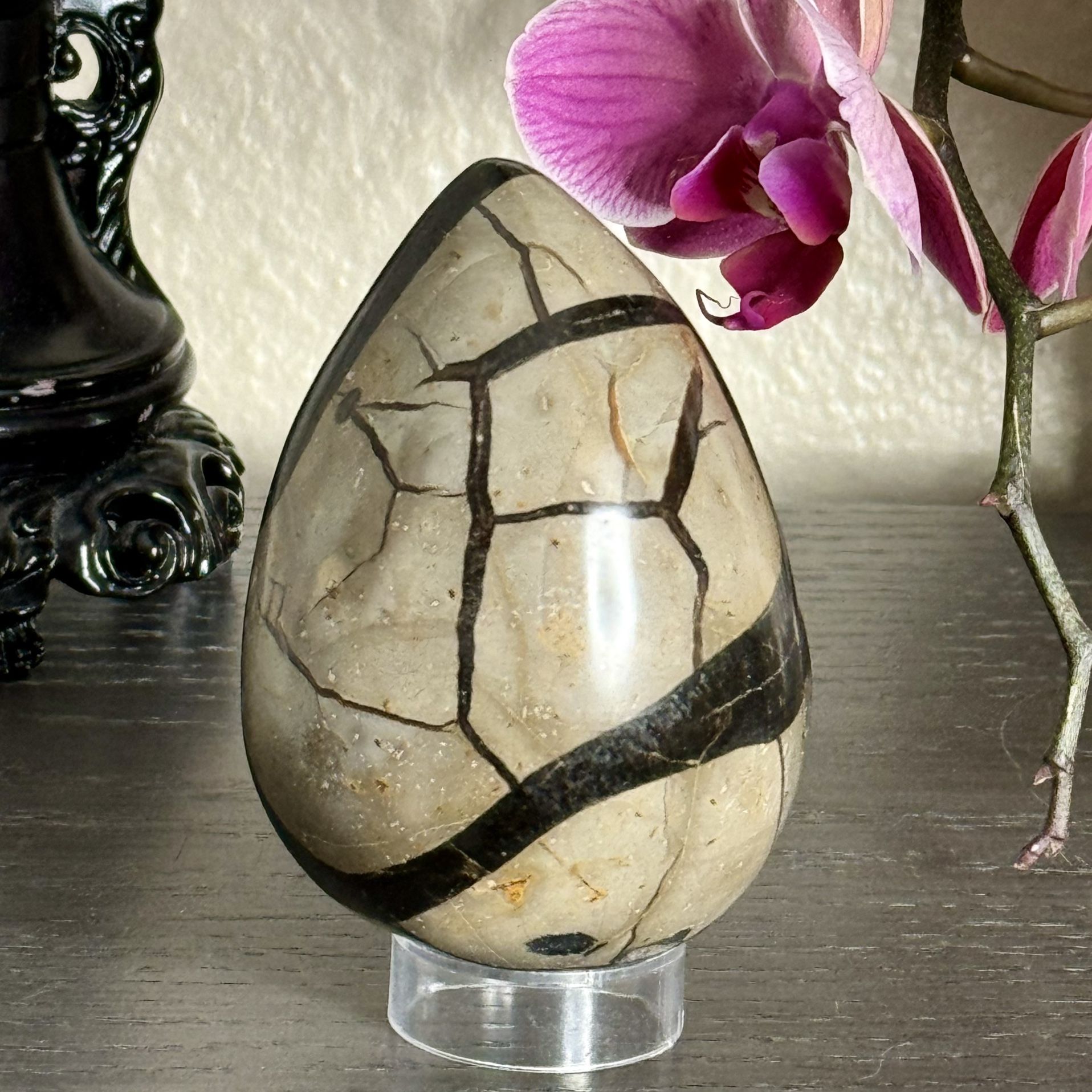 Septarian Egg