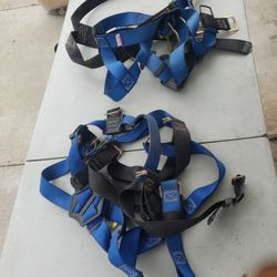 Harness 