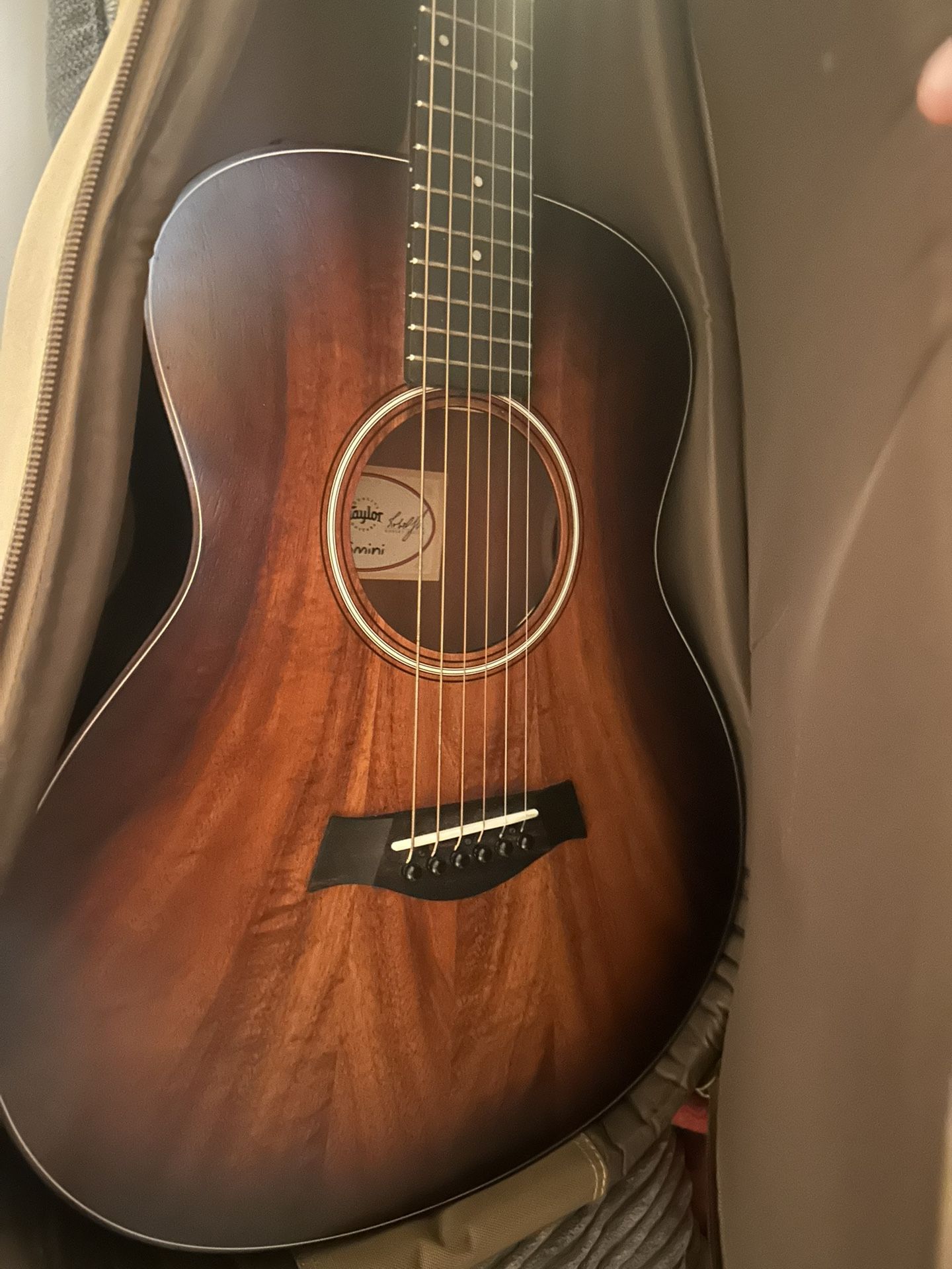 Taylor Gs Mini Acoustic Guitar