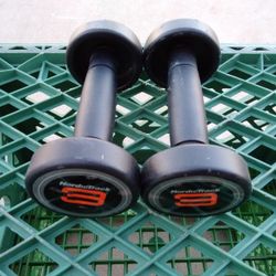 Pair Of 3 Lb NordicTrack Dumbbells 6 Lb Total Weight