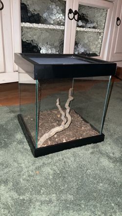 5g tank