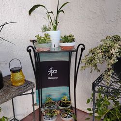 Plants / Patio set up