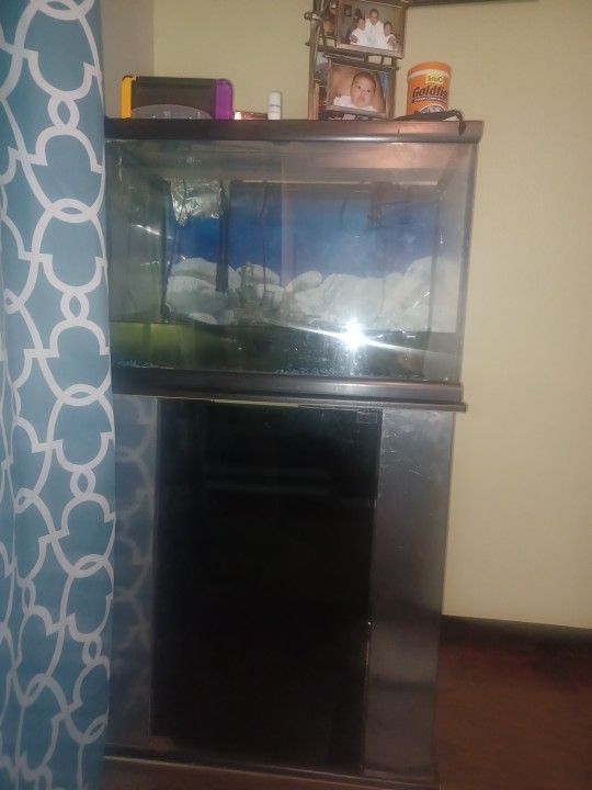 fish tank