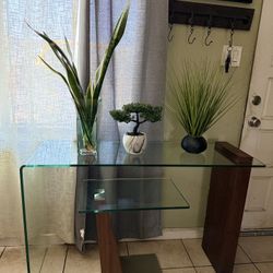 Casabianca Furniture BUONO Walnut Veneer w Glass Console Table by Casabianca Home 