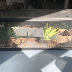 Aquarium For Lizard Or Hamster 