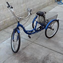 Schwinn Tricycle