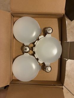 Ecosmart lightbulbs