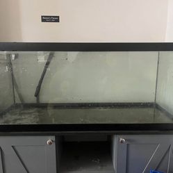 75 gallon tank with stand, canister filter and heater