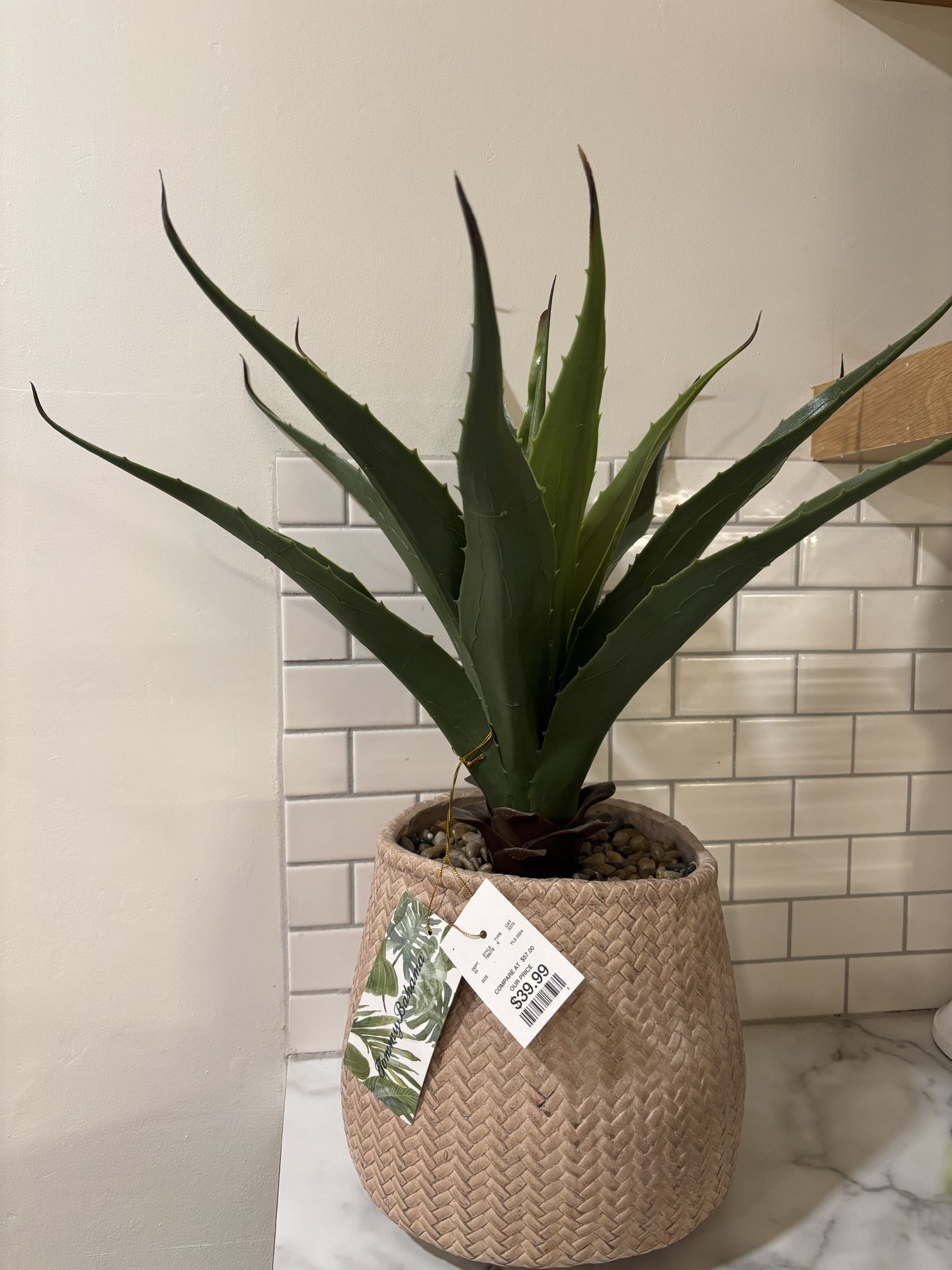 Plant Decor