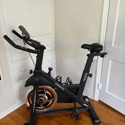 DMASUN exercise bike