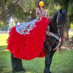 Quinceañera Dress Red & White  $1200