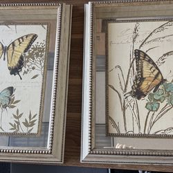 2x- Nature’s Curiosities 6 by Chad Barrett size 23x19