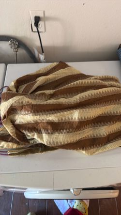 Brown Hammock