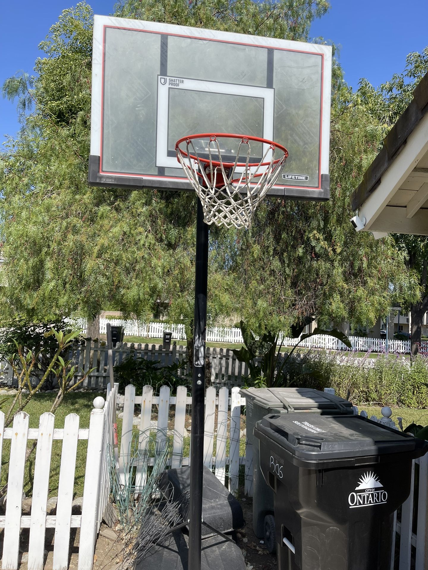Portable 50” Basketball Hoop