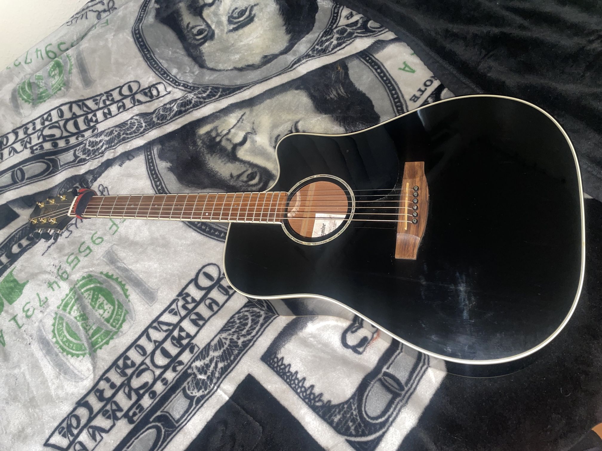 Takamine G Series
