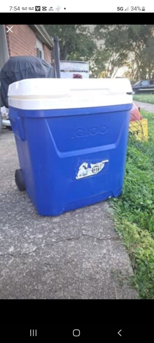 Cooler
