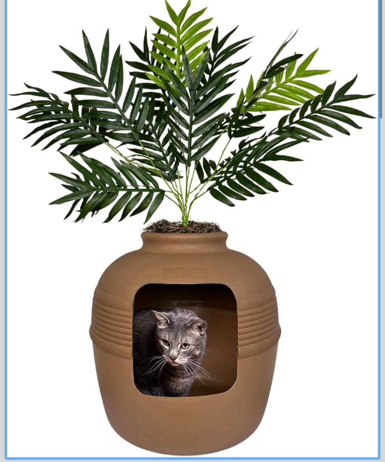 Cat Litter Box