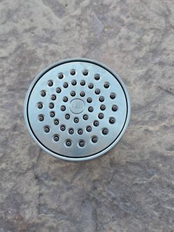 Moen Shower Head.