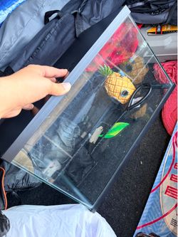 3 gallon fish tank