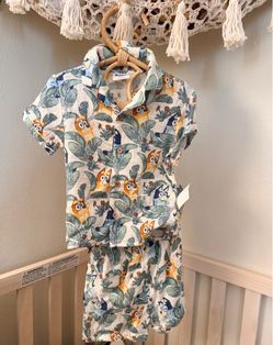 Bluey Boys Outfit