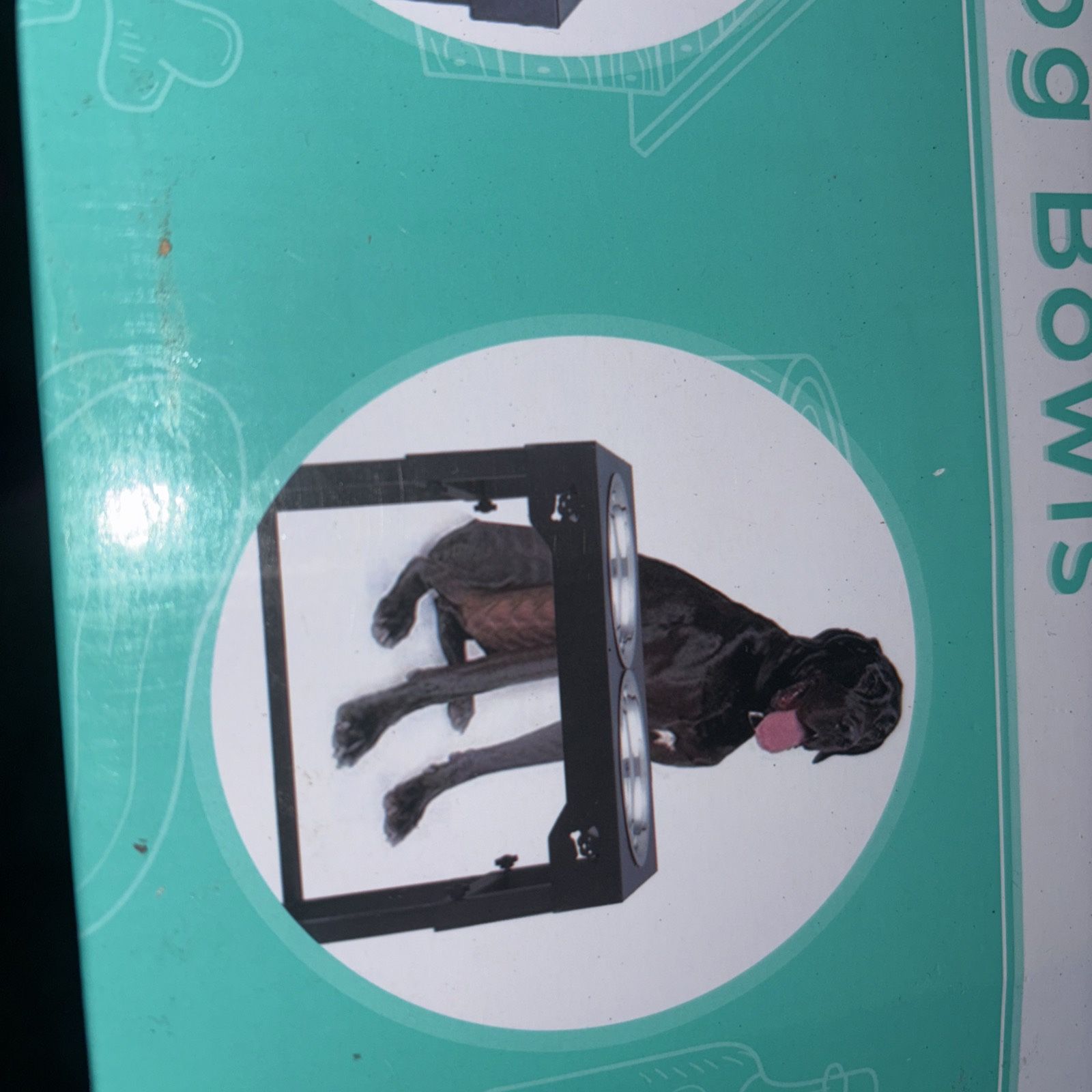 Dog Bowl