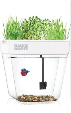 Back to Roots aquaponics garden fish tank aquarium