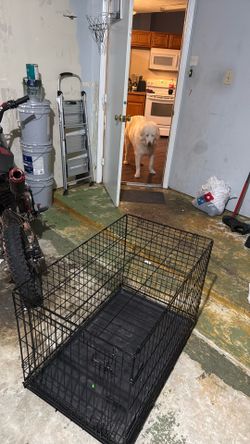 Large size dog kennel