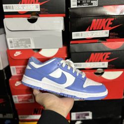 Nike Dunk Low Polar Blue size 8.5 VNDS