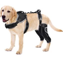 LISPOO Dog Acl Knee Brace for Torn Acl Leg Luxating Patella Dog Knee Braces XL