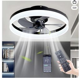 Ceiling Fans With Lights 