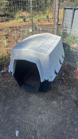 Large dog house