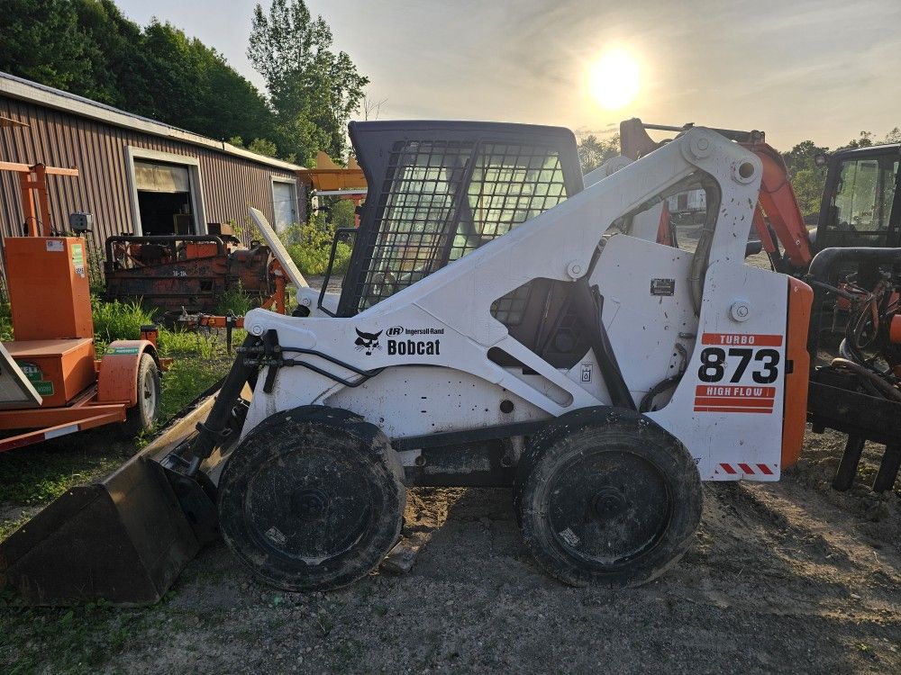 873 Bobcat