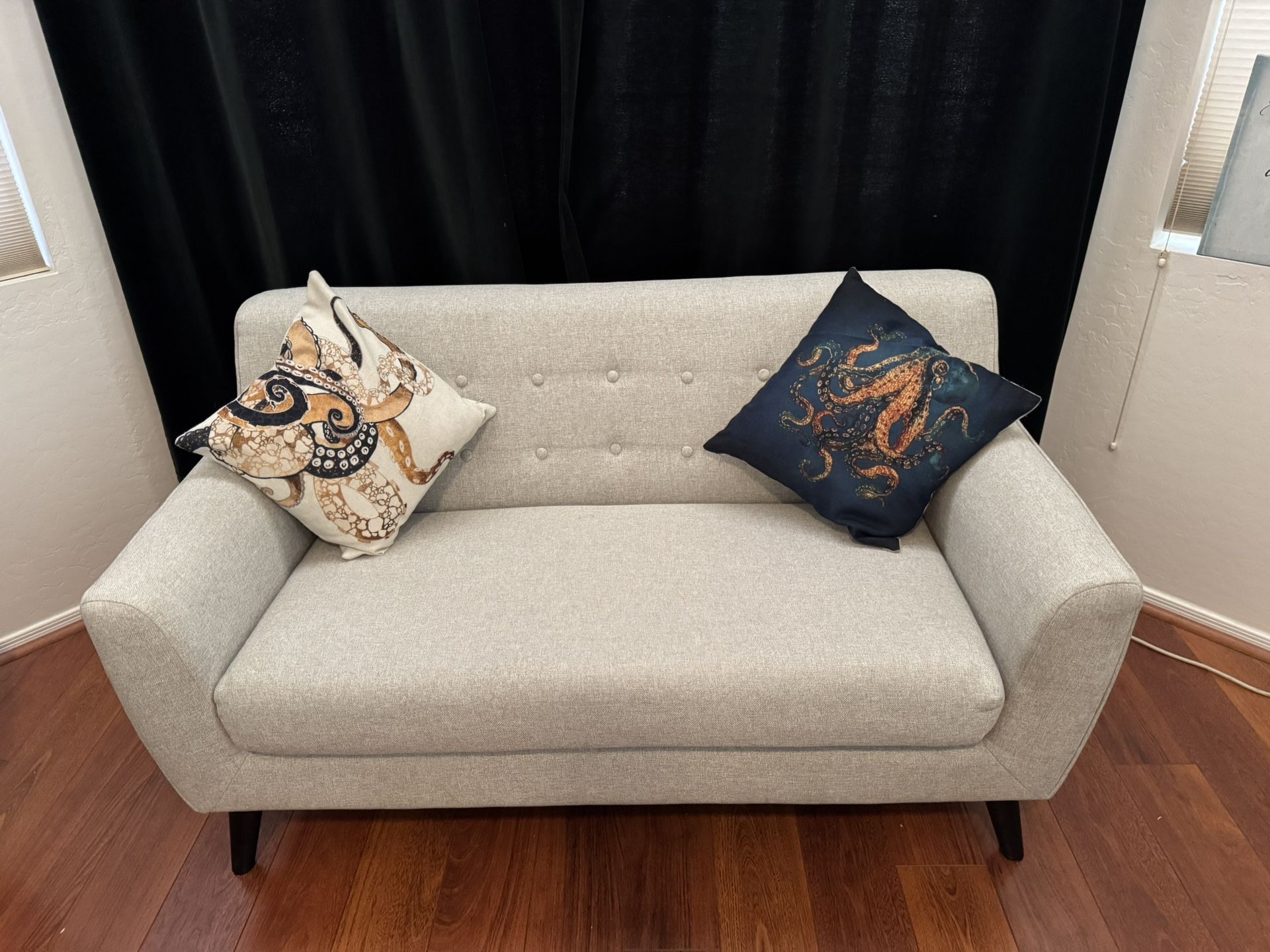 **Light grey Cloth Couch**