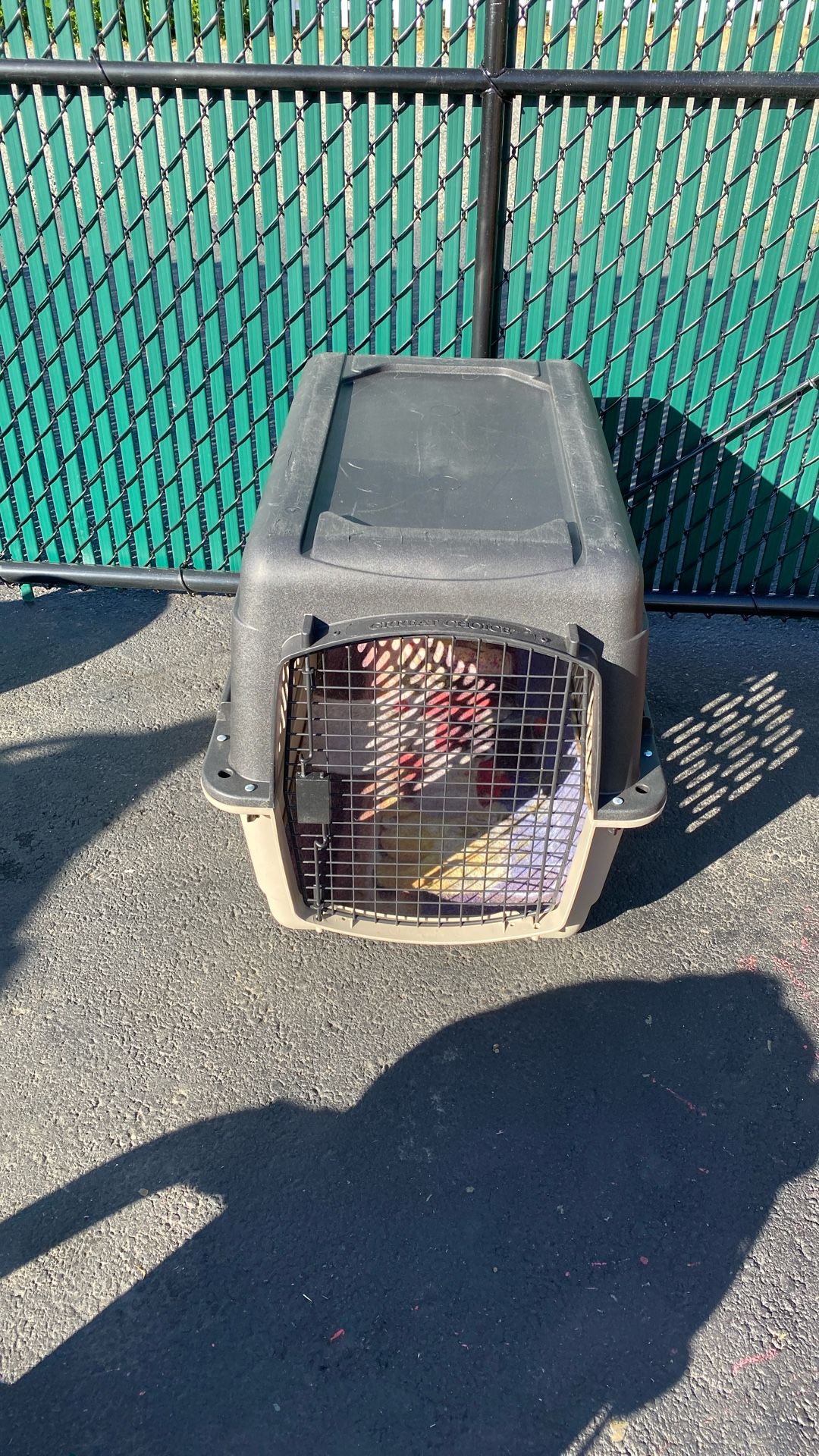 Large Dog Carrier 
